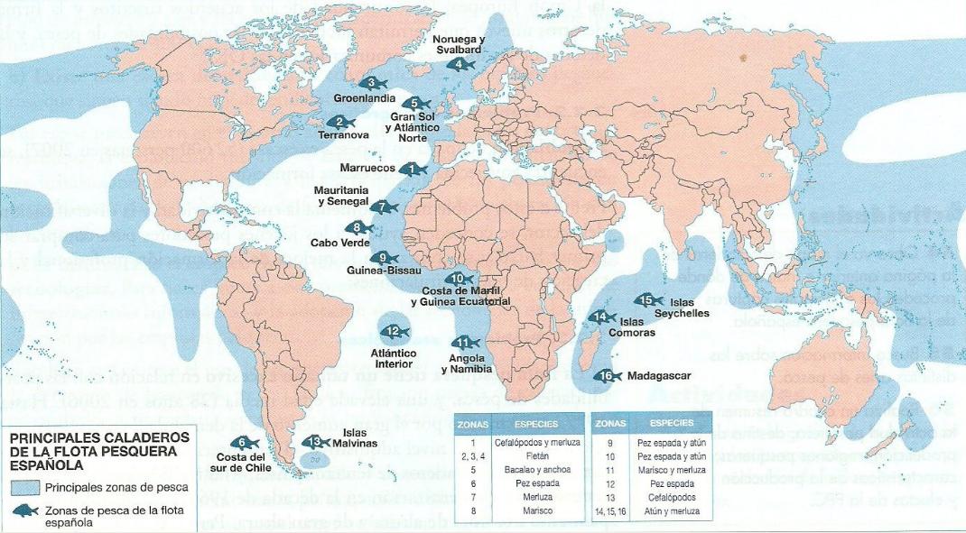 Resultado de imagen de principales caladeros de la flota pesquera española