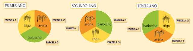 Resultado de imagen de rotacion trienal